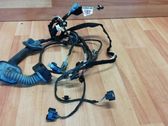 Front door wiring loom