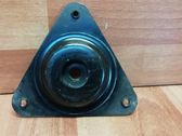 Coil spring mount