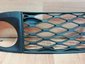 Front fog light trim/grill