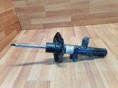 Front shock absorber/damper