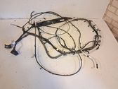Other wiring loom