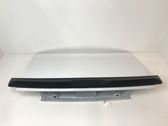 Tailgate/trunk/boot lid