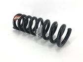 Muelle espiral trasero
