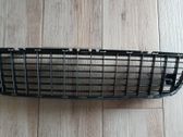 Front bumper lower grill