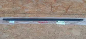 Rear door trim (molding)