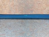 Front sill (body part)