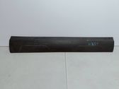 Front door trim (molding)