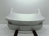 Tailgate/trunk/boot lid