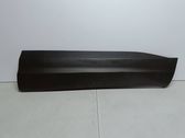 Front door trim (molding)