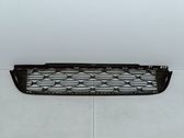 Front bumper lower grill