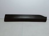 Front door trim (molding)