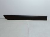 Rear door trim (molding)