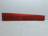 Front door trim (molding)