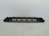 Front bumper lower grill