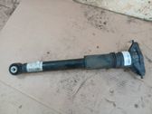 Rear shock absorber/damper