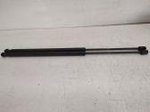 Tailgate/trunk strut/damper