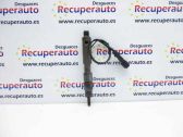 Inyector de combustible