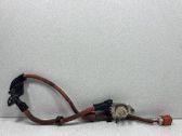Faisceau de câblage pour moteur