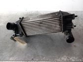 Intercooler radiator
