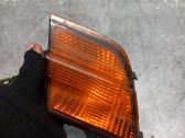 Front fender indicator light