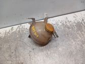Coolant expansion tank/reservoir cap