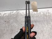 Tailgate/trunk strut/damper
