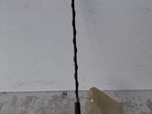 Radion antenni