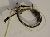 Other wiring loom