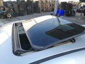 Rivestimento del tetto