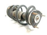 Front shock absorber with coil spring
