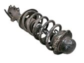Amortiguador delantero con muelle espiral
