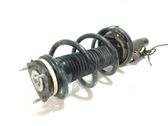 Amortiguador delantero con muelle espiral