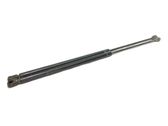 Tailgate/trunk strut/damper
