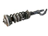 Amortiguador delantero con muelle espiral