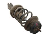 Amortiguador delantero con muelle espiral