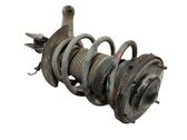 Amortiguador delantero con muelle espiral