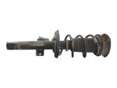 Amortiguador delantero con muelle espiral