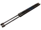 Tailgate/trunk strut/damper