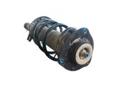 Amortiguador delantero con muelle espiral