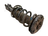 Amortiguador delantero con muelle espiral