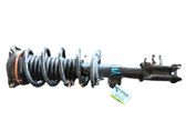 Front shock absorber with coil spring