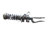 Amortiguador delantero con muelle espiral