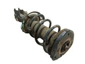 Amortiguador delantero con muelle espiral