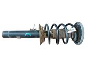 Front shock absorber with coil spring