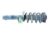 Front shock absorber with coil spring