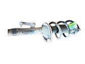 Amortiguador delantero con muelle espiral