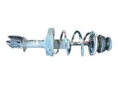 Amortiguador delantero con muelle espiral