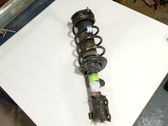 Front shock absorber with coil spring