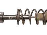 Amortiguador delantero con muelle espiral