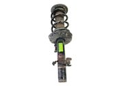 Front shock absorber with coil spring